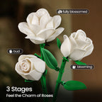 12 Rose White Bouquet Building Set