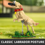 1257PCS Labrador Retriever Building Blocks – MOC 66060