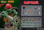 Lingjihun Teenage Mutant Ninja Turtles Premium Collectible Figure Collection