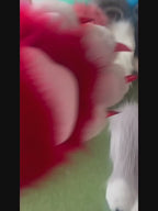 Premium Furry Cosplay Animal Paw Gloves
